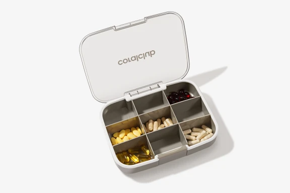 GoBox maxi, gris humo